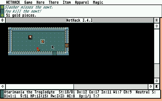 Nethack atari screenshot